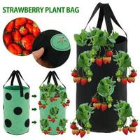 Bolsas de Cultivo para Fresas y Vegetales, con Asa Resistente para Colgar, Tela de Fieltro Transpirable y Gruesa, Bolsa de Cultivo para Zanahorias y Cebollas