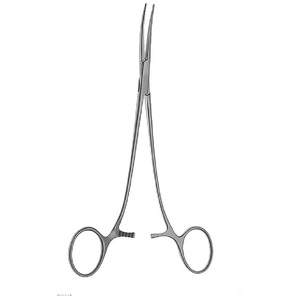 Bengolea fórceps - Product Image 2