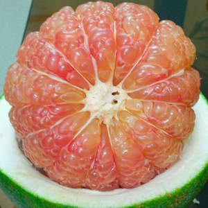 ส้มโอมืออาชีพสีเขียวสดส้มโอ/ส้มโอจากเวียดนาม // Jolene + 84 336089155 - Product Image 3