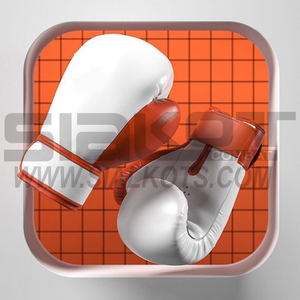 muay thai boxing gloves - Product Image 1