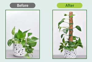 มะพร้าวธรรมชาติ100% มะพร้าวเสามะพร้าวใยมะพร้าวมะพร้าวเสื่อป้องกันต้นไม้สำหรับพืชปีนเขา - Product Image 5