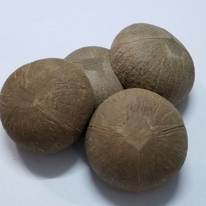 ชามเปลือกมะพร้าวธรรมชาติ Eco2go เวียดนาม - ชามมะพร้าวรักษ์โลก ขายส่ง - Product Image 1