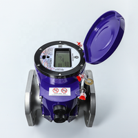Irrigation industrielle ultrasonique en vrac sans fil AMR AMI R250 compteur d'eau intelligent nouveau Gen corps en acier inoxydable nb-iot LoRa