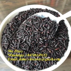 Arroz berry preto vermelho jasmine hom mali rice boa qualidade