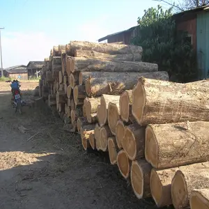 Teak wood logs/ sawn timber at the most competitive price
