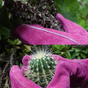 Wholesale <b>Ladies</b> Long Sleeves <b>Garden</b> <b>Gloves</b> Rose Pruning Planting Work <b>Gloves</b> Cowhide Leather Goatskin Anti-Slip Thorn Nylon - Product Image 3