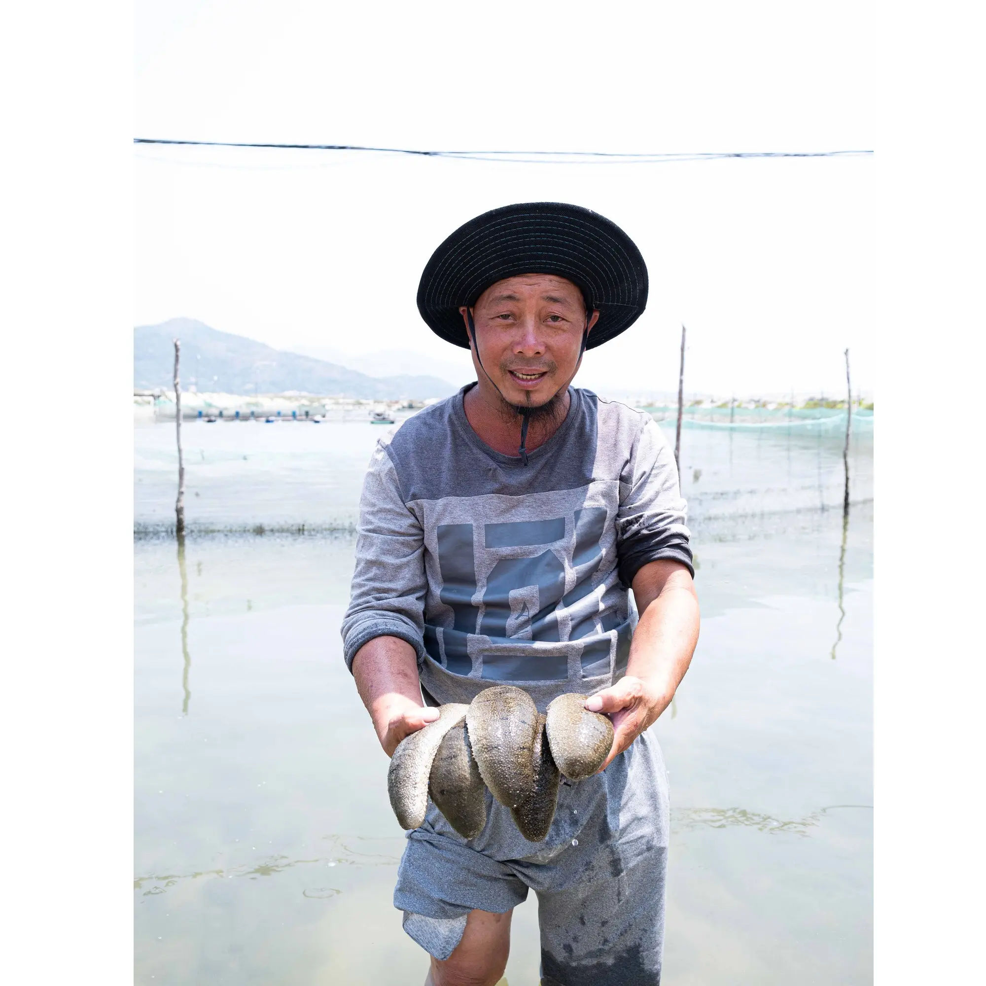 トップセラーの冷凍乾燥プレミアムベトナム栄養価の高い新鮮な純粋な天然オリジナルのストレート形状のきれいな砂魚のナマコ