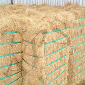 Fiber de noix de coco bon marché, vente en gros, - Product Image 1