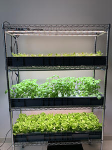 Système de culture hydroponique de micro-légumes avec éclairage LED, étagère en fil d'acier <span class=keywords><strong>Koray</strong></span> GK12045 G12045 2021 - Product Image 3