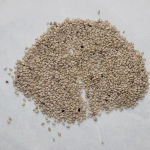 Hạt Mè Trắng 2021 - Product Image 1