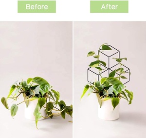 Treillis de plante revêtu de poudre, 1 pièce, en métal, pour jardin, plantes grimpantes d'intérieur et d'extérieur - Product Image 3