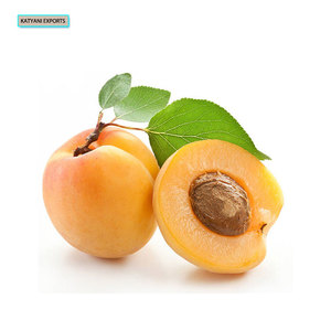 Vente en gros de l'huile de noyau d'abricot organique naturelle pure 100% pour les cheveux et la peau-Obtenez le vôtre commande en gros à des prix compétitifs aujourd'hui - Product Image 1