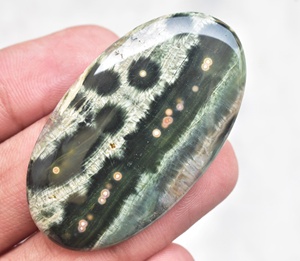 แคสเปอร์หลังเบี้ยโอเชียน - Product Image 2