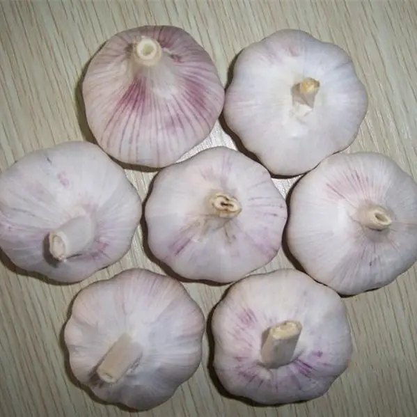 Чистый белый свежий Garlics для продажи