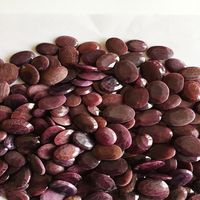 Pierre précieuse en rubis rouge de qualité AAA, taille baguette naturelle, certifiée IGI