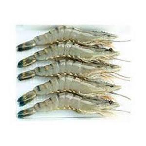 Tasty U10 Shrimp In A Large Number Of Varieties Alibaba Com Tasty U10 Shrimp In A Large Number Of Varieties Alibaba Com
