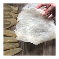 Vessie de poisson séchée de Perche du Nil / Vessie de poisson séchée de Croaker jaune / Vessie de poisson Corvina pour la préparation de soupe à la vessie de poisson