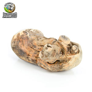 Bâtons de caféier en bois de Java naturel os à mâcher durables pour jouet pour chien agressif brosse à dents dentaire longue durée - Product Image 1