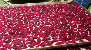 Fruit du dragon séché au goût sucré du Vietnam conservé en tranches style emballage en vrac processus de séchage AD - Product Image 4