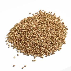 Épi de maïs séché en plantes, grain d'épi de maïs - Product Image 1