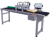 Impresora de Inyección de Tinta DOCOD T600-EY6S de 76.20mm (6 Cabezales, Versión Encriptada) Impresora Térmica de Inyección de Tinta TIJ