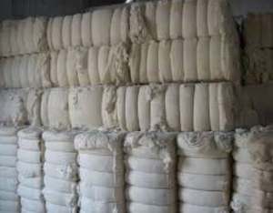 Fardos de algodón 100% de alta calidad fibra de algodón para material de relleno disponible en Vietnam precios al por mayor-Florencia - Product Image 4