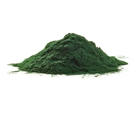 Ulvaceae Powder/ Ulva Lactuca Powder/ Sea Lettuce - CONTACT TO +84 911 695 402