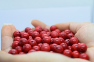 Perles en bois colorées indiens, vente en gros, en vrac, pour artisanat et bricolage - Product Image 3