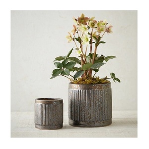 Macetero de Metal de hierro con acabado antiguo, fabricante y distribuidor, nuevo diseño, para decoración de jardín - Product Image 1