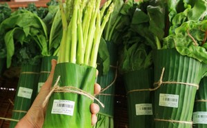 Embalaje de comida ecológico, plátano para exportación, vacaciones - Product Image 3