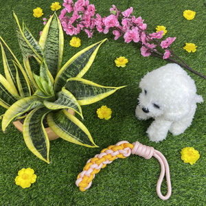 Juguetes de limpieza Dental para perros, cuerda interactiva para tirar mascotas de Vietnam - Product Image 6