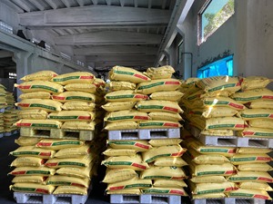 Chlorure de polyaluminium (PAC) de haute qualité de la marque VNT, poudre jaune, pureté 30 %, qualité industrielle pour le traitement de l'eau - Product Image 2