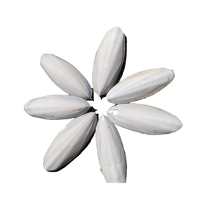 Os de seiche blanc naturel de haute qualité, minéraux pour les oiseaux et les reptiles, adapté à la médecine traditionnelle - Product Image 4