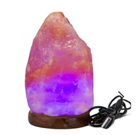 Lampe de sel rose de l'Himalaya naturelle écologique connectée par USB, décoration maison et voiture, style fleur sculptée, artisanat en ivoire
