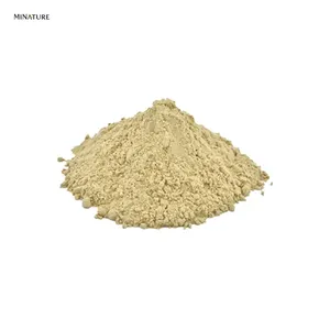 Bulk Supplier of Top Quality Tinospora Cordifolia Extract Guduchi Powder