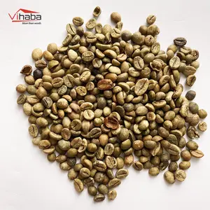 Export green coffee beans robusta green arabica green coffee beans drink bottle coffee bean vietnam