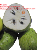 Top Selling 2022 Premium Kwaliteit Verse Soursop/Graviola Fruit Smaak Natuurlijke Zoete Uit Vietnam