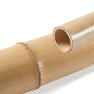 HOT BEST 2026 !! Tiges de bambou naturelles à vendre – Soutien agricole et jardinage, décoration en bambou, tube en aluminium façon bambou - Product Image 2