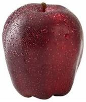 Verse rode Delicious appel, vers fruit uit Oostenrijk