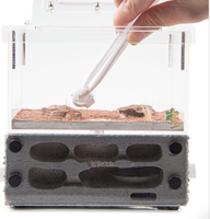 Fourmilière Empire Ants en plastique écologique, style classique, avec réservoir d'eau intégré, 15x9x15cm, pour toutes les saisons