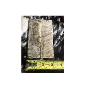 Nique-platos de cuerno de oveja, mango de cuchillo, pulido y color natural - Product Image 1