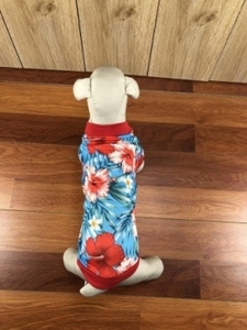 Camiseta de poliéster de manga corta para perros y gatos, ropa de lujo, gran oferta de Vietnam - Product Image 3