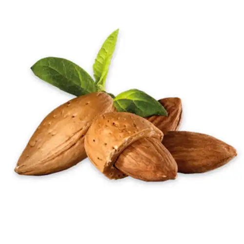 Pharma Grade Sweet Almond Oil For Improving Skin best almond carrier oil from india largest manufacturers and suppliers