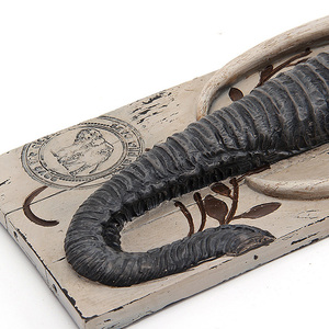 Testa di elefante a parete taverna sala da pranzo decorazione della casa - Product Image 3
