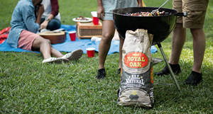 BBQ <b>GRILL</b> CHARCOAL FROM INDONESIA WITH SUPERMARKET PACKAGING BEST IN Hudson NEW YORK, <b>CAMPING</b>, FOOD TRUCK - Product Image 2
