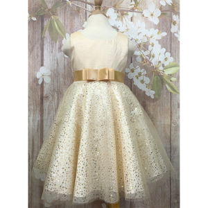 Boda y fiesta de cumpleaños princesa vestido de flores puffy vestido de malla y encaje de ropa de niño - Product Image 4