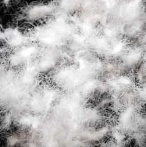 Pato Blanco/gris lavado de VietNam de alta calidad, gran oferta, 80/20 - Product Image 3
