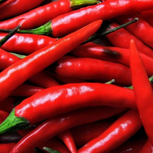 Chile Rojo pimienta congelados chile rojo de VIET NAM - Product Image 1