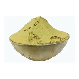 Best Quality 100% Pure and Natural Aloe Vera Powder for Wholesale Purchase Available in Customized Packaging