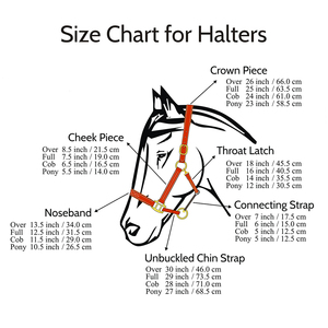 Top Selling Customisable Australian Saddle Nylon <b>Halters</b> Durable Crafted Customisable Hardware Logo Direct Manufacturer Supplier - Product Image 4